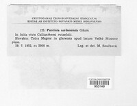 Image Associated With the Occurence